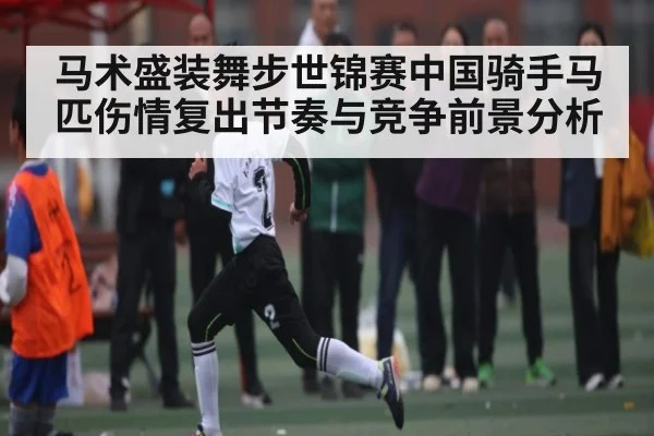 马术盛装舞步世锦赛中国骑手马匹伤情复出节奏与竞争前景分析